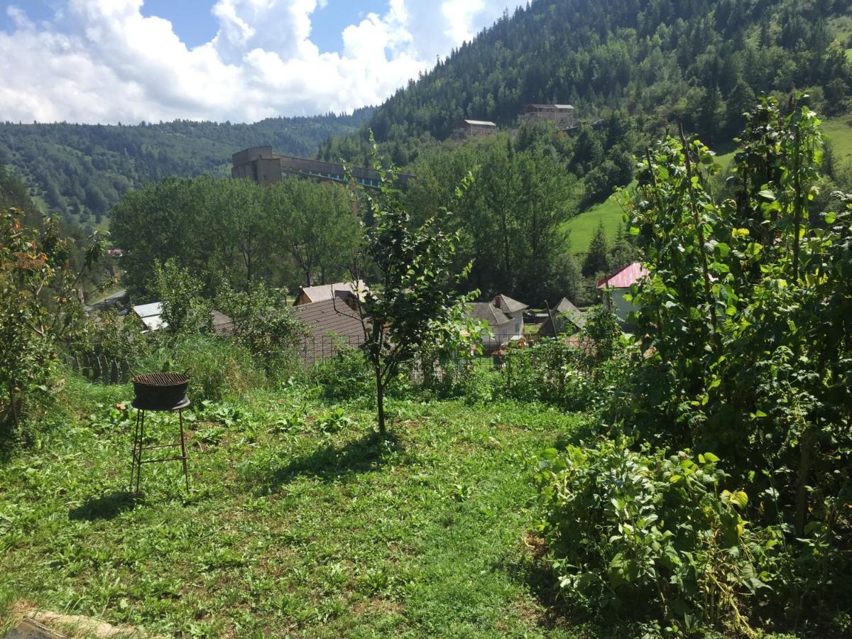 Acasa In Bicaz-Chei - Camere De Inchiriat Cheile Bicazului Екстер'єр фото